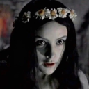 museum-of-cool-vids avatar