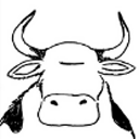 museum-of-cow-tools avatar