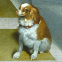 museumdogs avatar