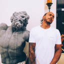 museumofhyperfixations avatar