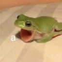 mushroom-music avatar