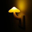 mushroom-night-lights avatar