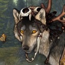 mushroom-wolv avatar