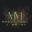 mushroomsmoths avatar