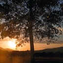 mushroomweirdo avatar