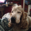 mushrooomhead avatar