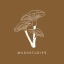 mushstudies avatar