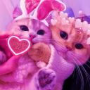 musical-paran0id avatar