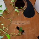 musicalbath-blog avatar