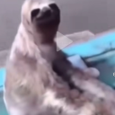 musicaligerasblog avatar