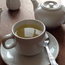 musicalnature-blog avatar