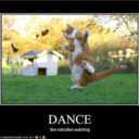 musicaltragedy avatar