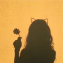 musicalxdreams avatar