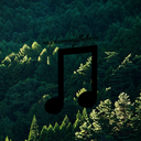 musicamongthetrees avatar