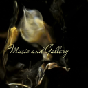 musicandgallery avatar