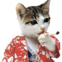 musicians-with-cats-blog avatar