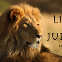 musicinherheart avatar