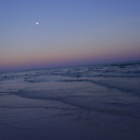 musicofmylyphe avatar