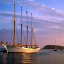 musictheheartandsoul avatar