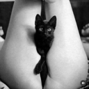 musingkitten2 avatar