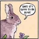 muskratdignitary avatar