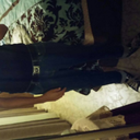 mustang-lover avatar