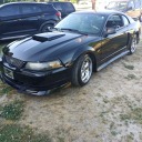 mustangsally50 avatar