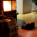 mustarintanen avatar