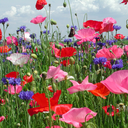 mustconsumecoffee avatar