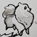 mustelid-chiropractor avatar