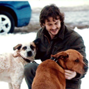 mustlovewillgrahamsdogs avatar