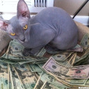 mutablebeauty avatar