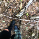 mutated-nature avatar