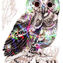 mutia-sabila-blog avatar