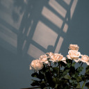 mutlulukhuzuru avatar