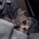 mutluyumamabirazdangecer1 avatar