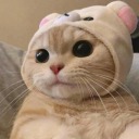 mutsuzumsadecew avatar