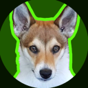 mutt-on-the-web avatar