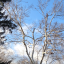 mutteringsofmadness avatar