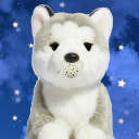 muttys-playpen avatar