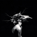 muy-sicaliptica avatar