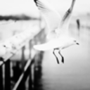 muydescontrolada avatar