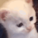 muzitifand0mstress avatar