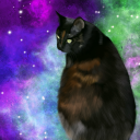 mxnyxie avatar