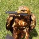 my-brain-soup avatar