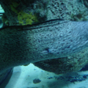 my-breakup-playlist avatar