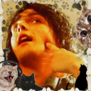 my-cat-romance avatar