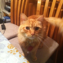 my-college-life-now avatar