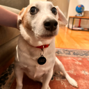 my-dress-is-on-fire avatar