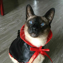 my-favorite-murder avatar